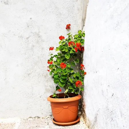 Stefanis Relis House Prázdninový dům Archangelos (Rhodes)