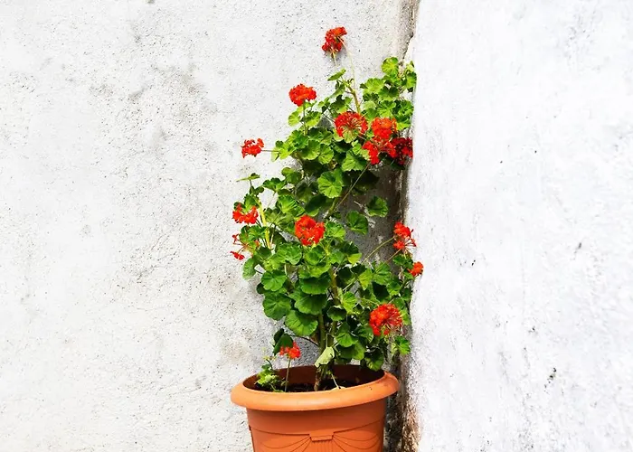 Stefanis Relis House 펜션 아크앤젤로스