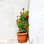 Stefanis Relis House Σπίτι διακοπών Αρχάγγελος